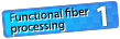 Functional fiber processing 1