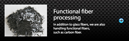 Functional fiber processing