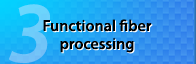 Functional fiber processing